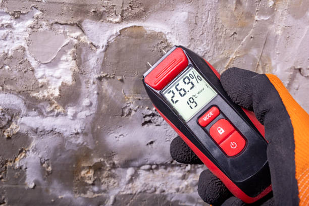 Best Commercial Mold Removal  in Mililani Town, HI