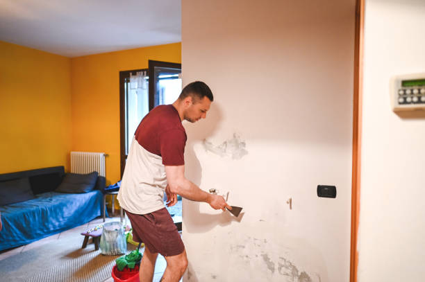 Best Residential Mold Removal  in Mililani Town, HI